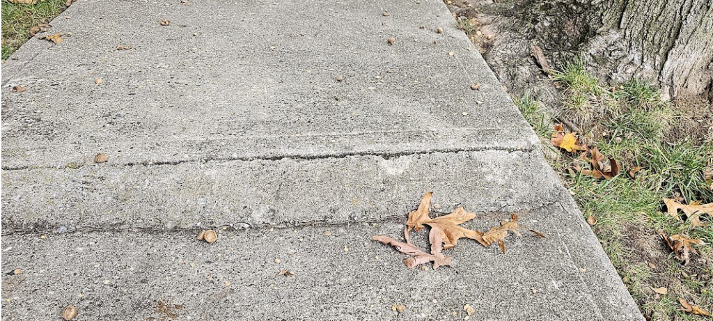 Tree root damaged sidewalk